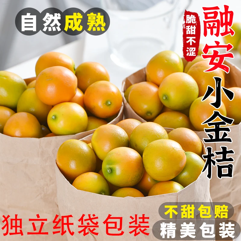 纯甜脆皮金桔2斤