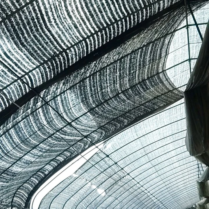 星*星30有根火龙果杆4个