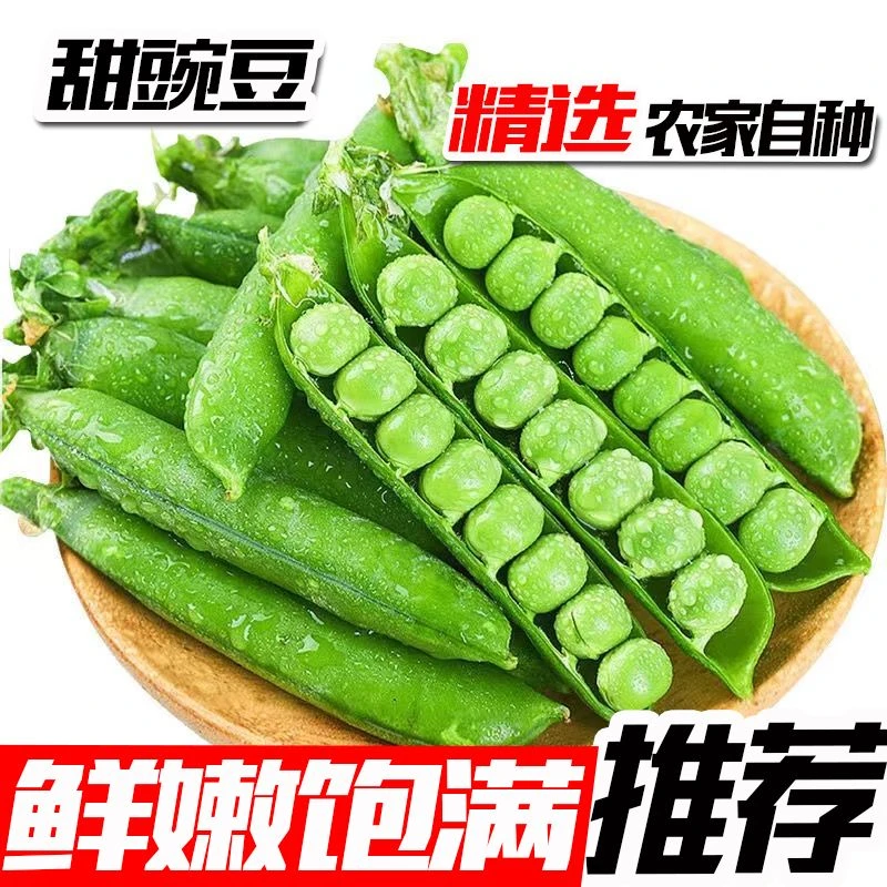 （水果豌豆2）新鲜甜豌豆云南带壳新鲜现摘水果豌豆农家豆荚5斤