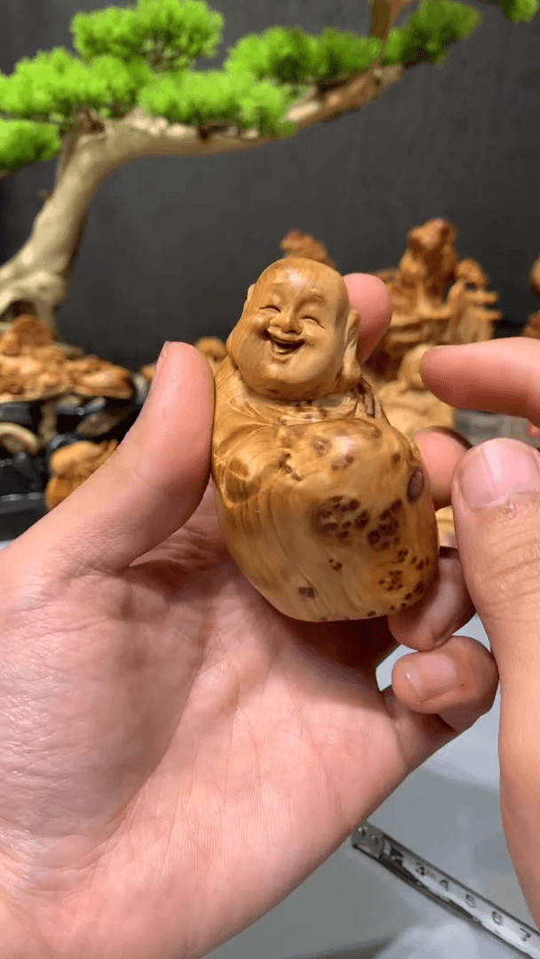 【闪购商品】崖柏·