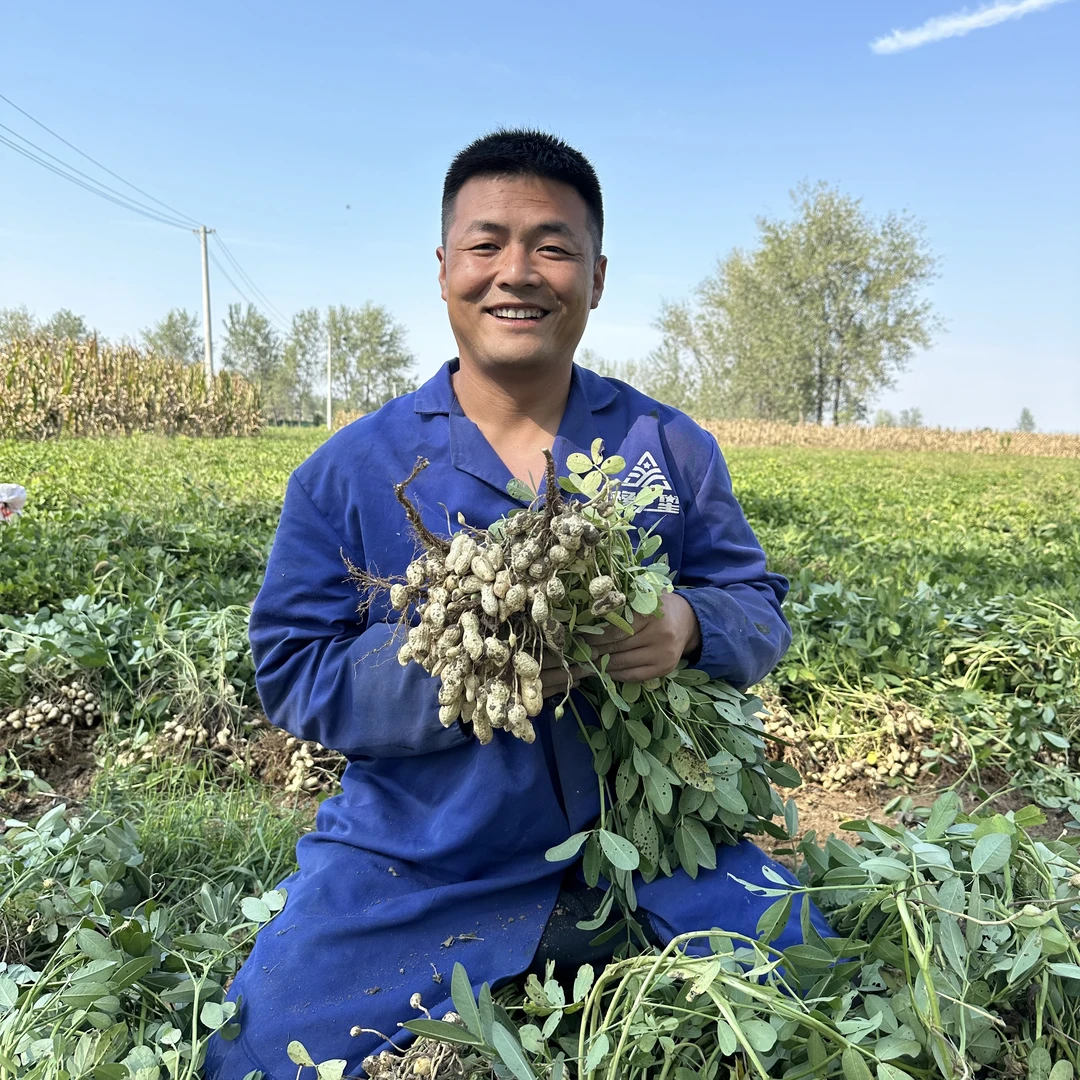 2025新鲜花生带壳鲜现挖现发大花生饱满精选鲜花生