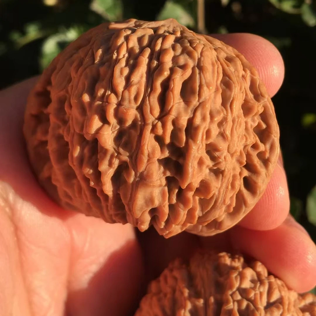 精品绣球狮子头文玩核桃