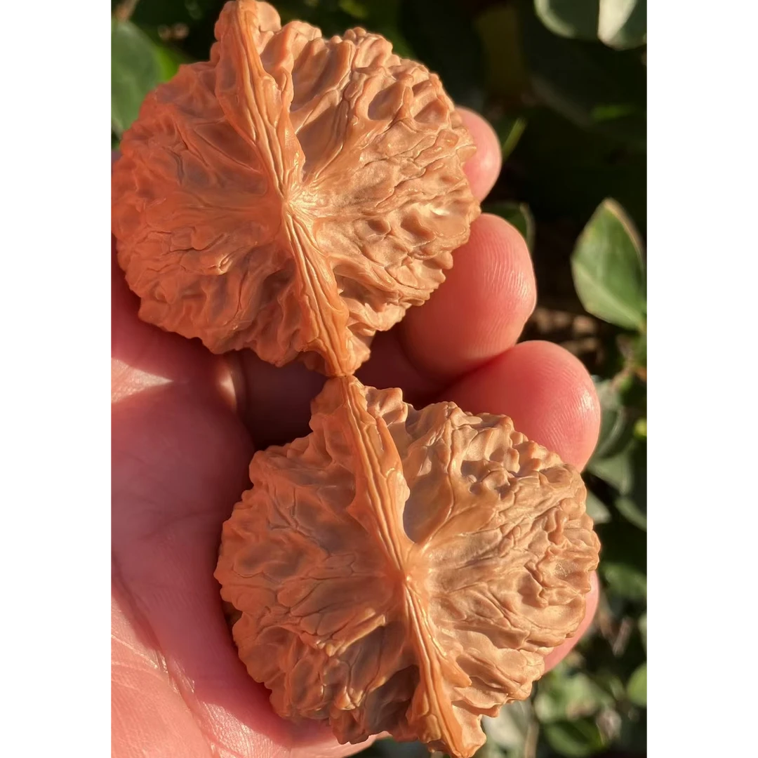 精品老树苹果园狮子头文玩核桃