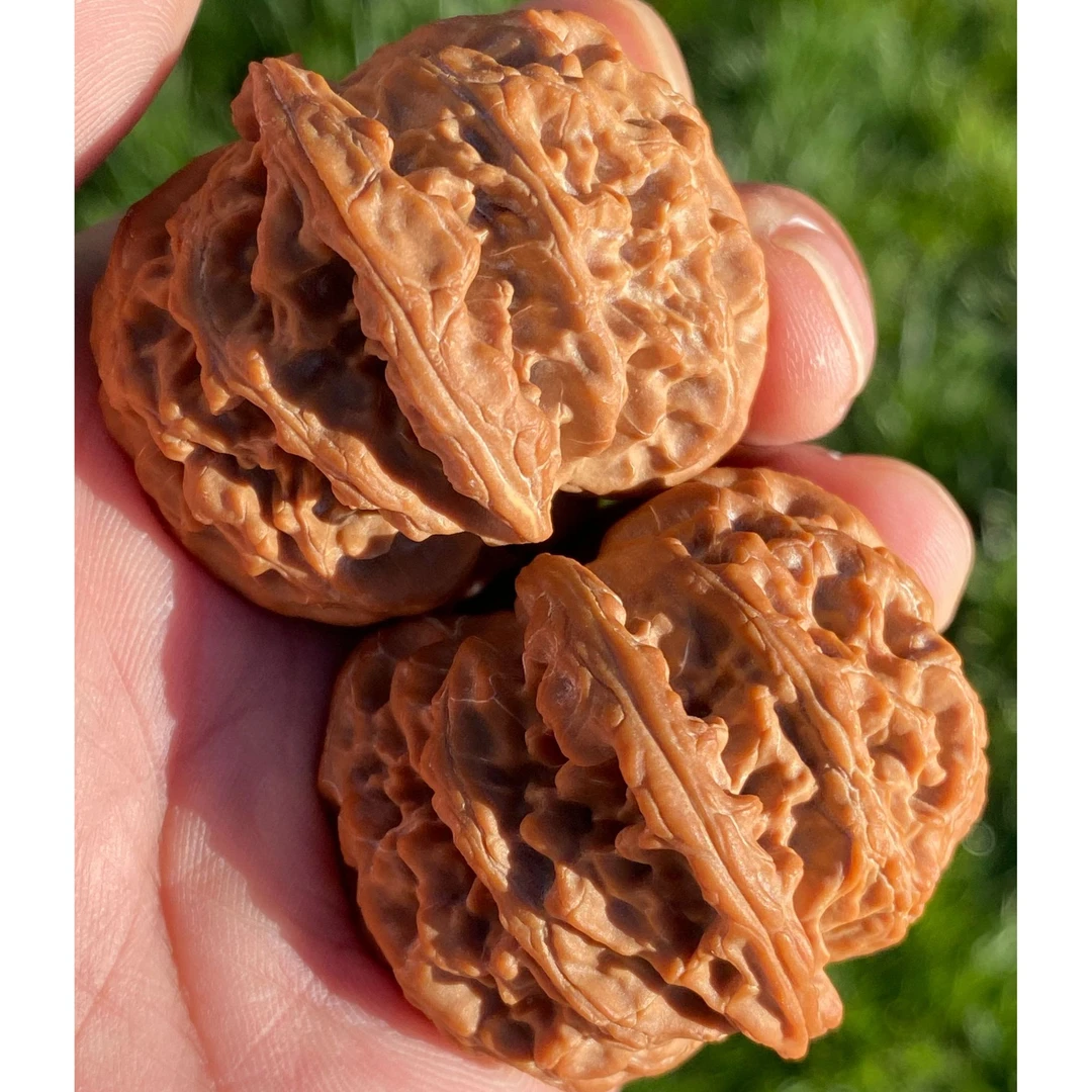 精品闷尖苹果园狮子头文玩核桃