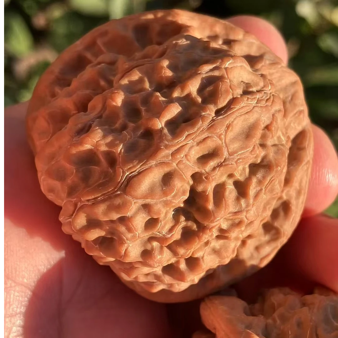 精品蓟县元宝狮子头文玩核桃