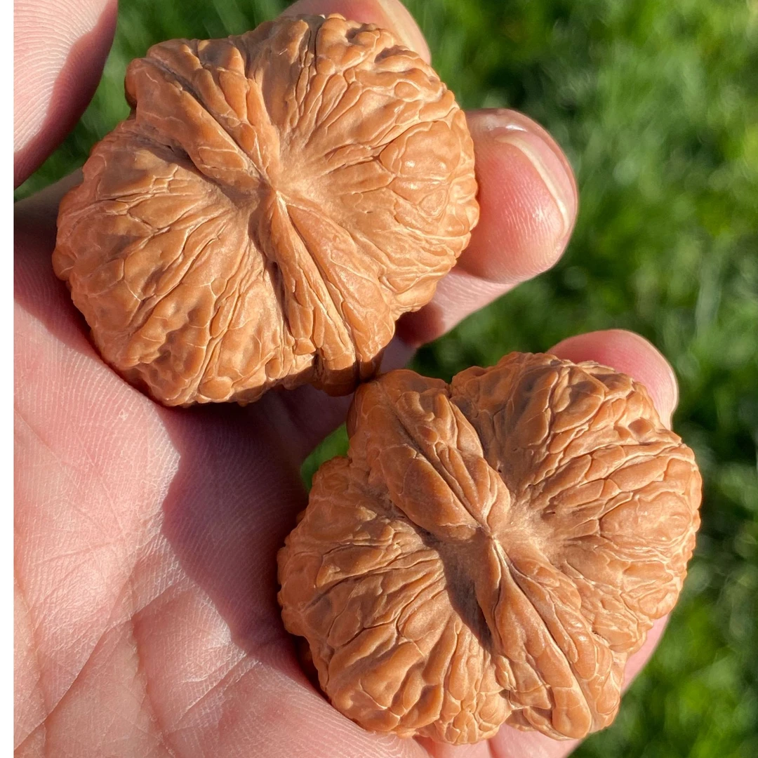 精品无药平谷翘肩膀元宝文玩核桃