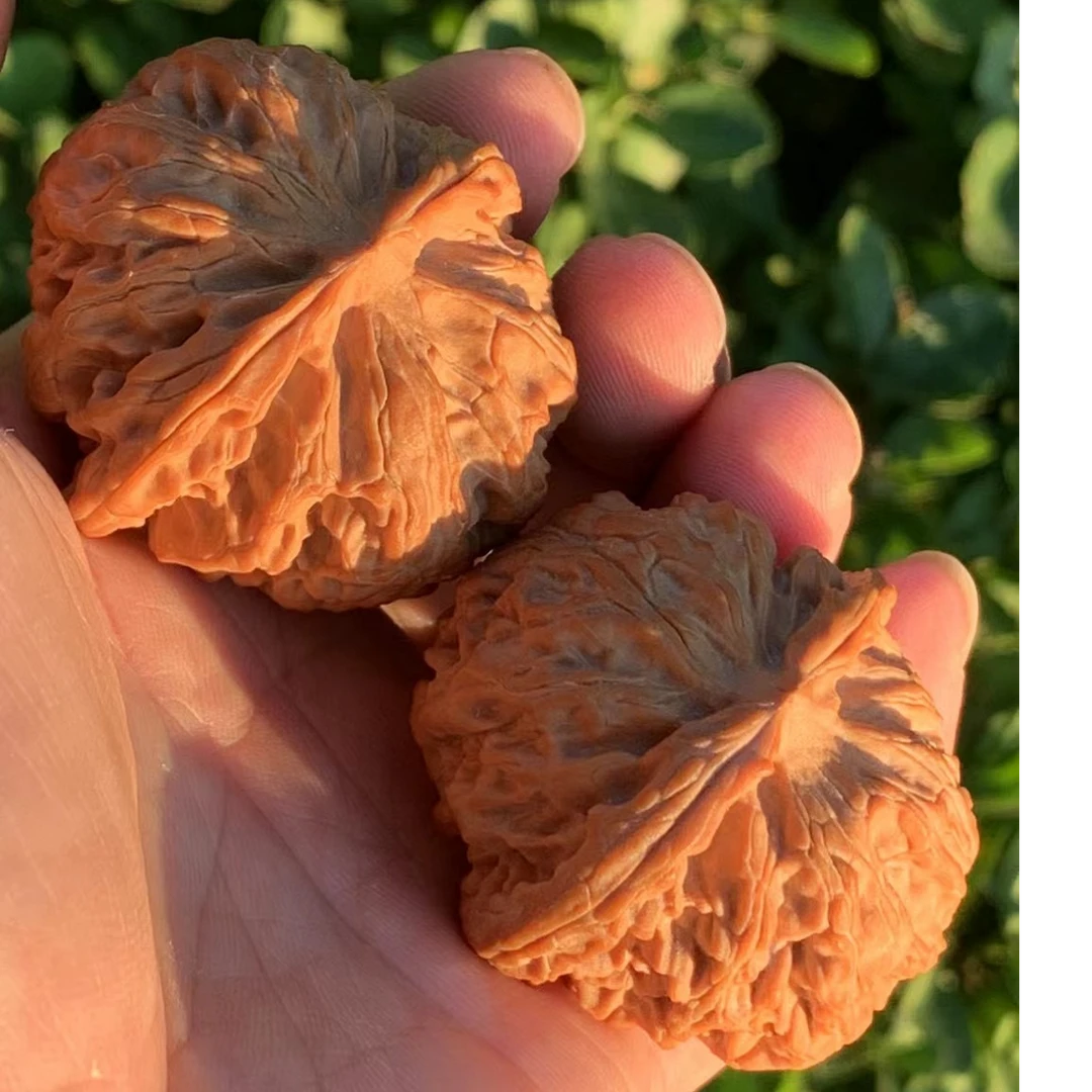 精品闷尖苹果园狮子头文玩核桃