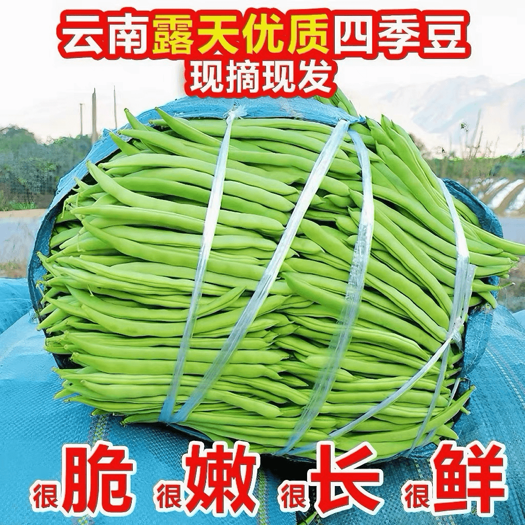 豆角四季豆2-9斤云南新鲜长扁豆角蔬菜当季整箱包邮芸豆现摘菜豆