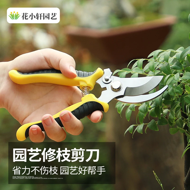 家用果树剪刀修枝神器剪花卉摘果剪刀绿化专用嫁接园林园艺剪刀