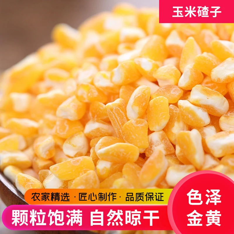 食用新玉米碴皇八趟老品种五谷杂粮粗细大碴子颗粒赠送红芸豆