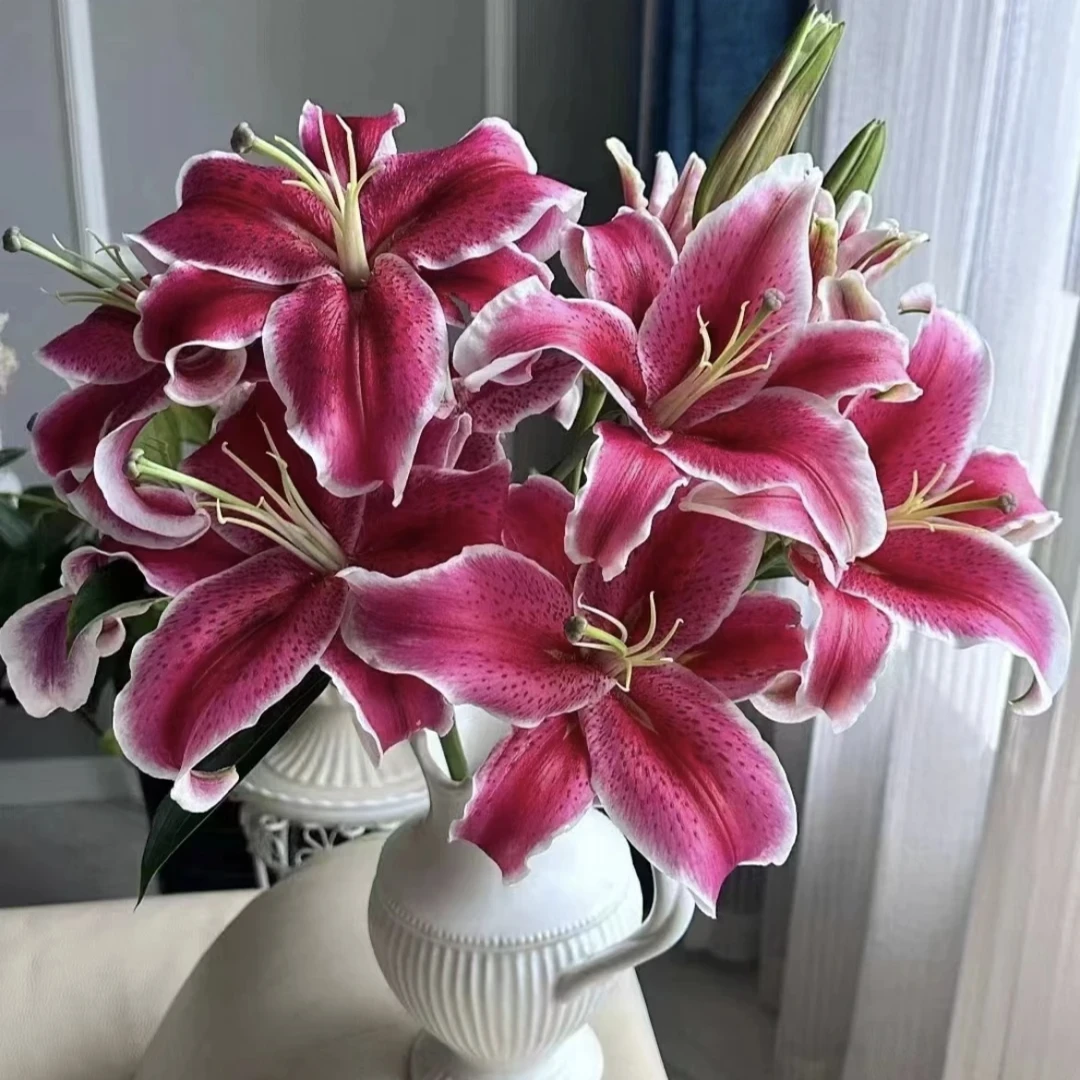 西哥【黑美人香水百合5枝3头】云南斗南鲜花基地直发花材