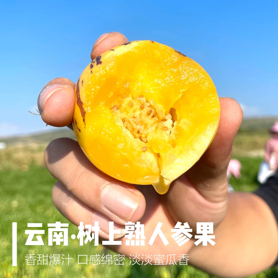 2025年头茬 云南树上熟人参果 自然成熟 清甜多汁细腻 哈密瓜香味