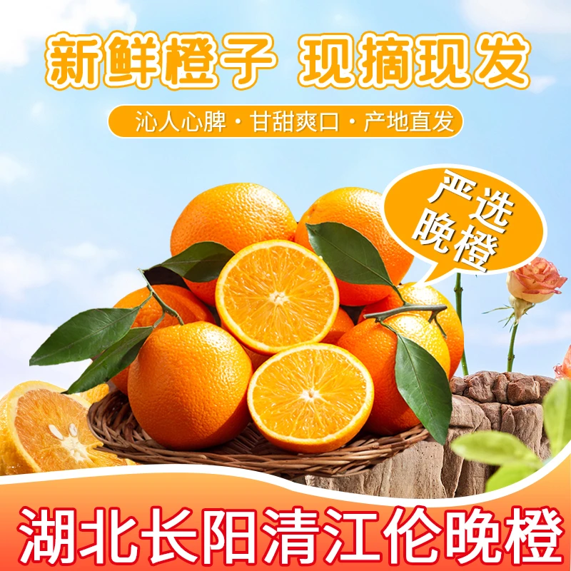 湖北长阳清江伦晚脐橙新鲜阳光细腻皮薄现摘采摘种植自然水果