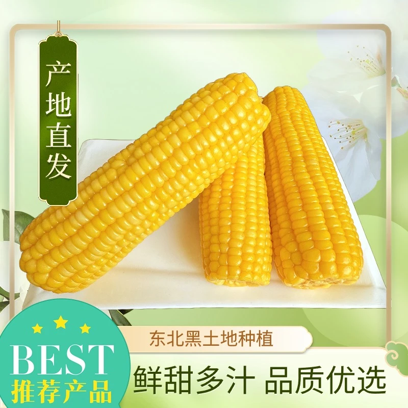 （大棒专属）2025东北甜糯玉米香甜8根5斤以上铝箔装上产地直发