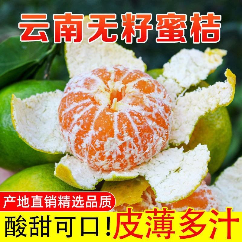 【超低价】云南青皮蜜橘薄皮橘子孕妇新鲜水果酸甜1/3/5/9斤包邮