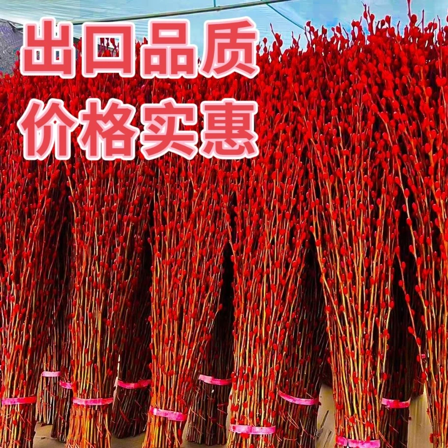 红色银柳干花装饰摆件干枝红梅客厅摆件麦穗摆件批发雪柳干枝莲蓬