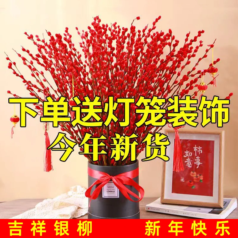 2023年宵花材银柳白玫瑰云南9.9元20支花束礼物蓝色冰封玫瑰乐夏