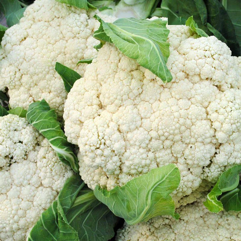 【花菜】农家露天白花菜应季新鲜蔬菜（顺丰包邮）