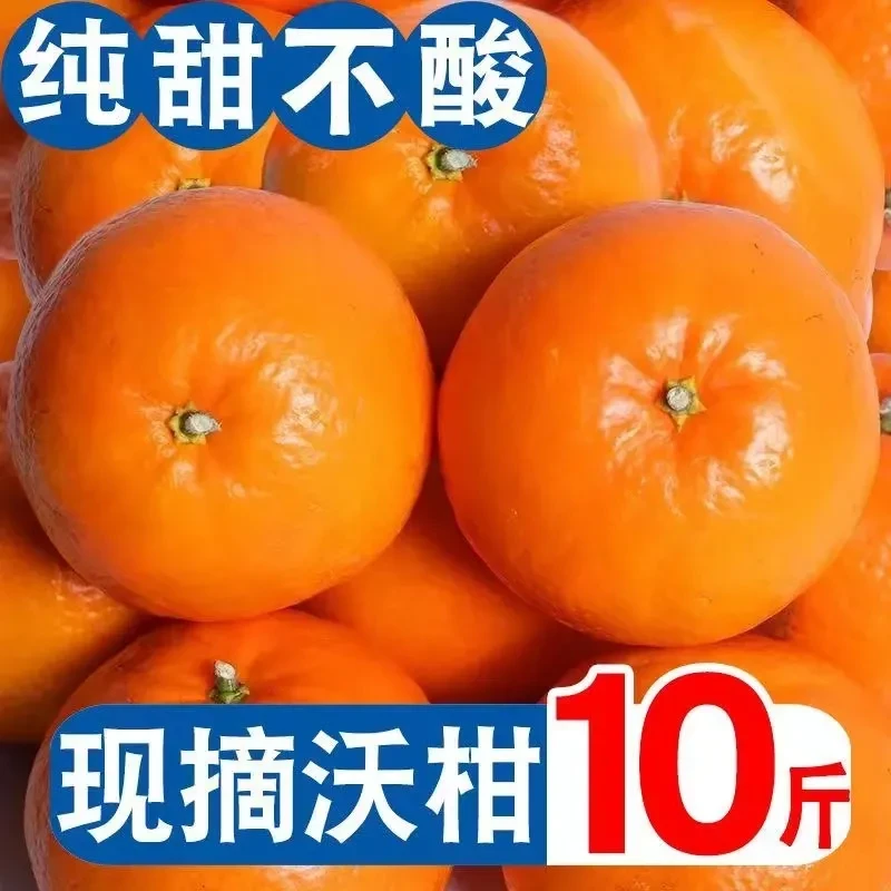 【当日发】正宗广西武鸣沃柑芦柑橙橘子非砂糖橘丑橘粑粑柑水果蔬菜