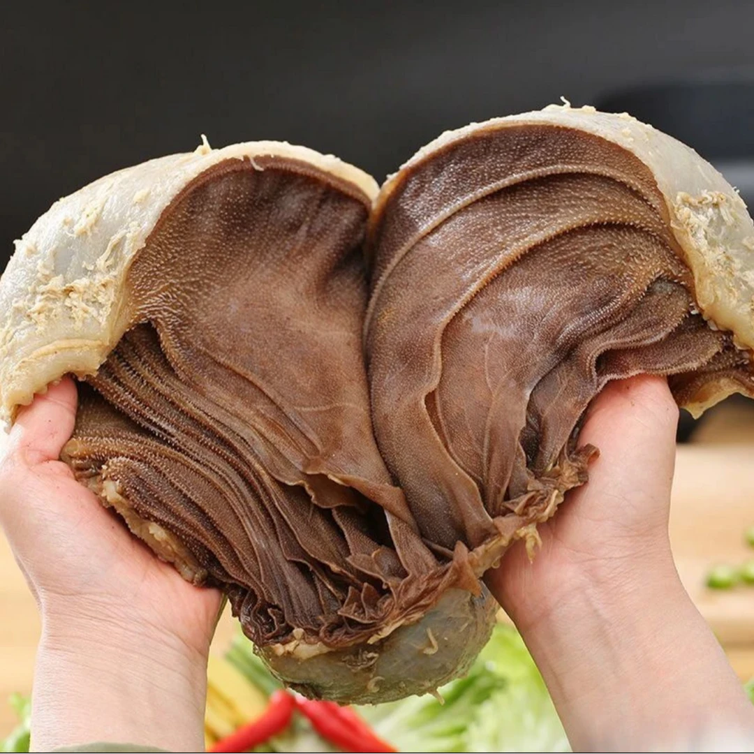 新鲜毛肚3斤火锅食材牛百叶大刀叶片商用牛肚冰鲜冷藏顺丰包邮