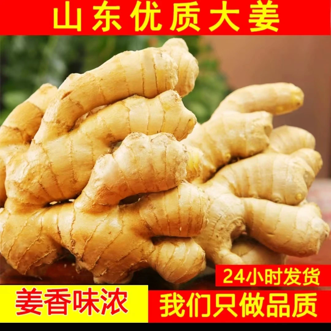 山东大姜生姜老姜老姜土姜月子姜风干产地直发辣味十足农家新鲜