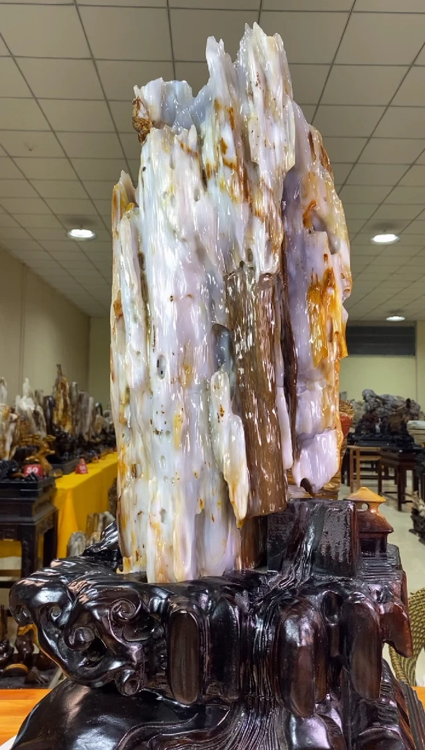 【闪购商品】硅化玉珠宝奇石未镶嵌1