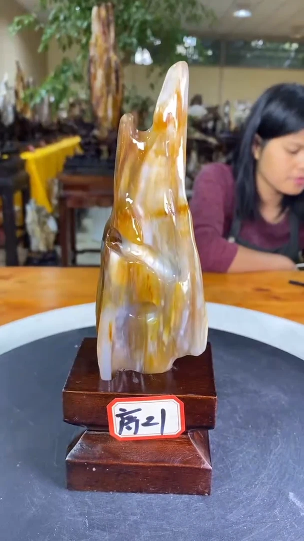 【闪购商品】硅化玉珠宝奇石未镶嵌1