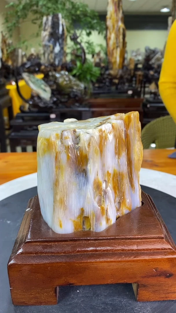 【闪购商品】硅化玉珠宝奇石未镶嵌1
