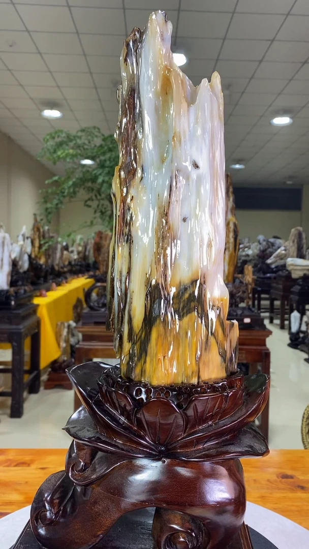 【闪购商品】硅化玉珠宝奇石未镶嵌1