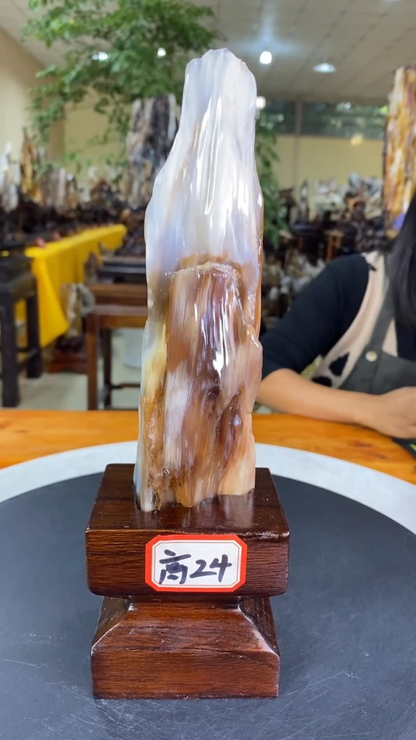 【闪购商品】硅化玉珠宝奇石未镶嵌1