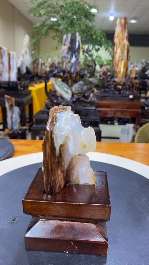 【闪购商品】硅化玉珠宝奇石未镶嵌1