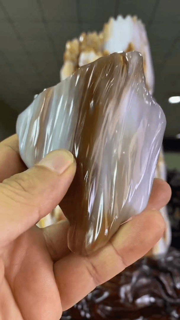 【闪购商品】硅化玉珠宝奇石未镶嵌1
