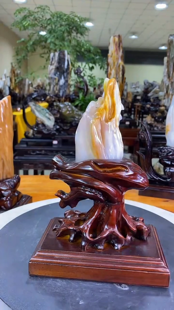【闪购商品】硅化玉珠宝奇石未镶嵌1
