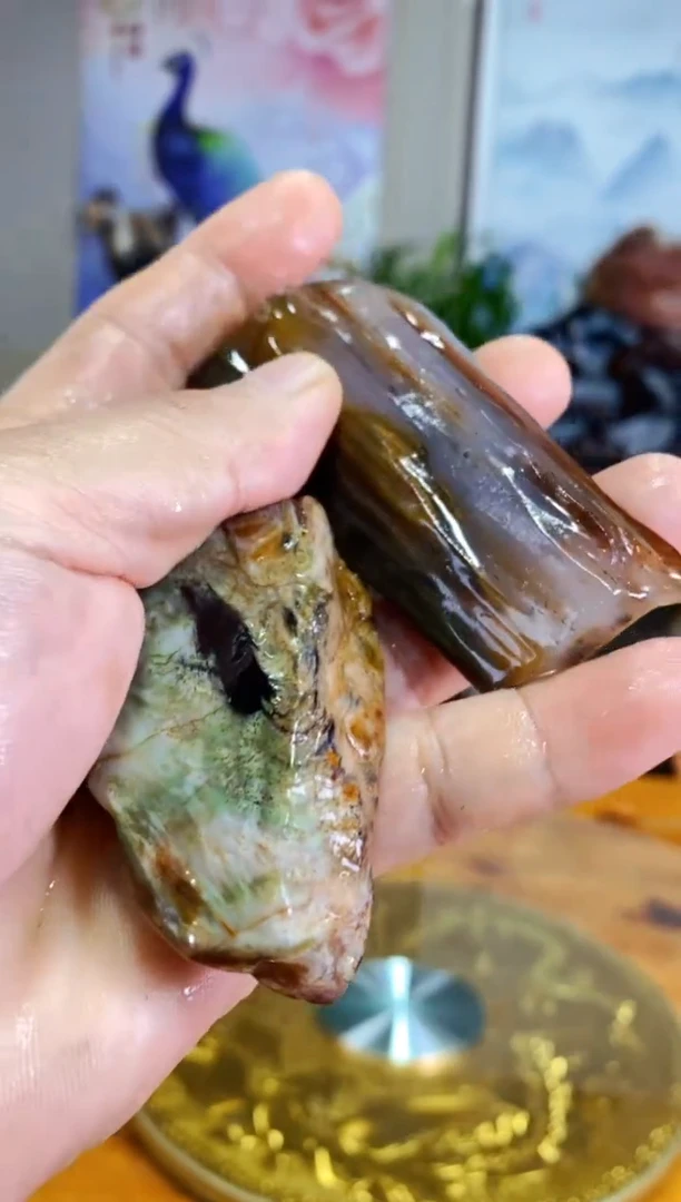 【闪购商品】硅化玉珠宝奇石未镶嵌1