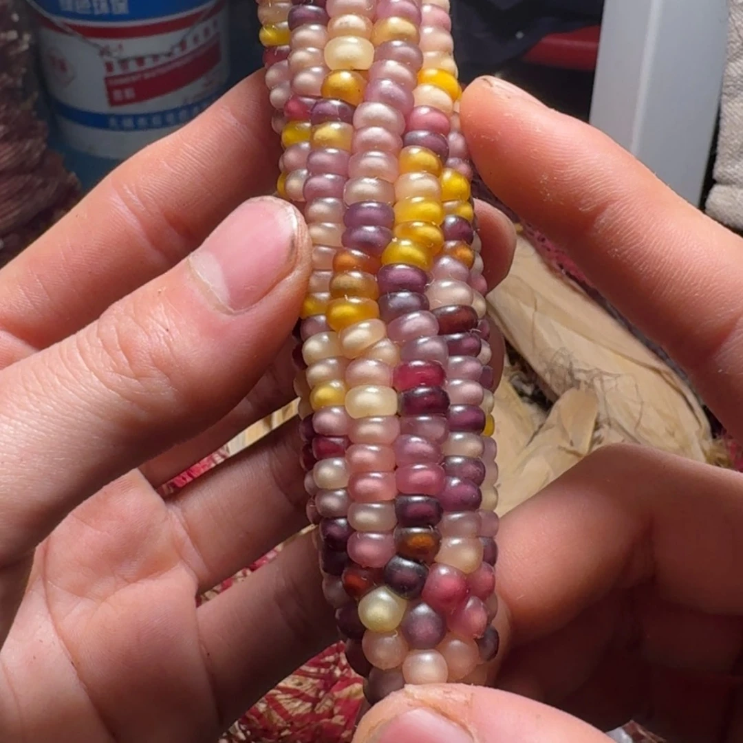 【闪购商品】晚*88888888