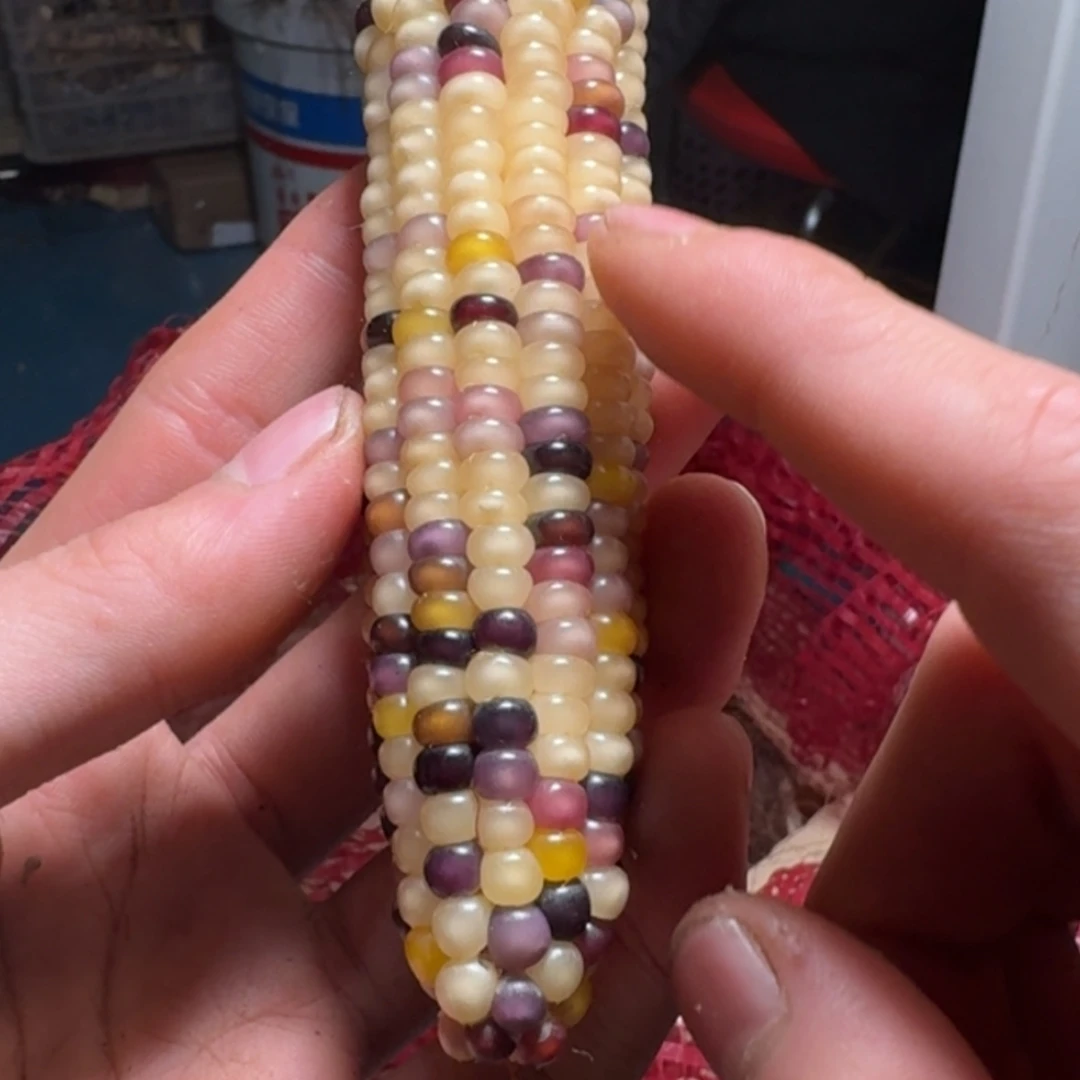 【闪购商品】理****天888888888