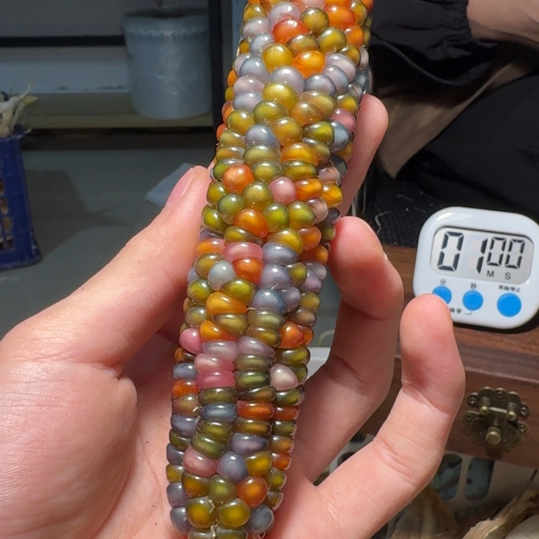 鬬***哈哈哈哈哈哈哈哈哈哈哈哈哈哈