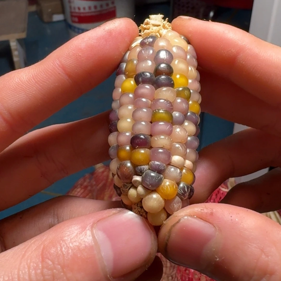 【闪购商品】简*?999999999