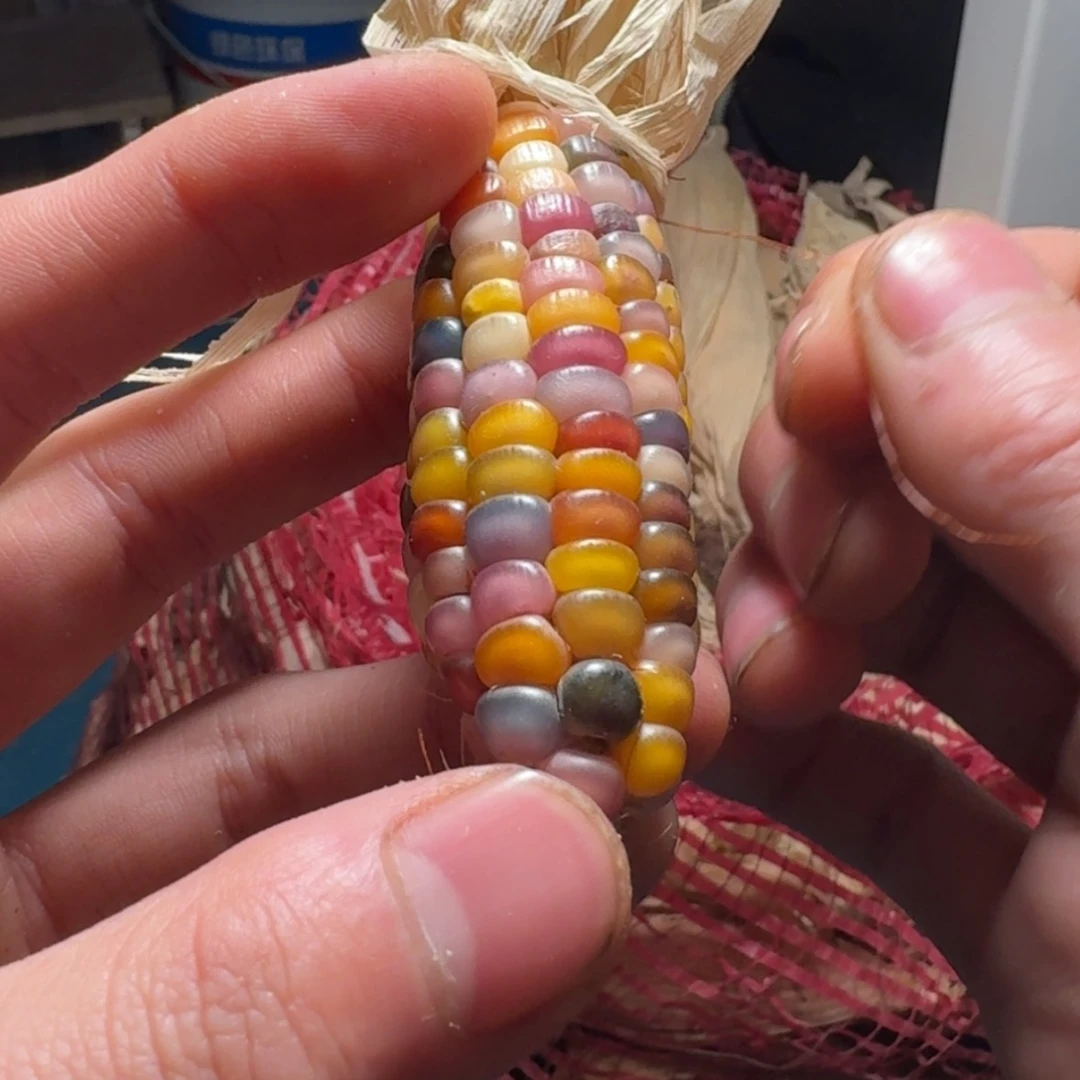 【闪购商品】裴**8888888