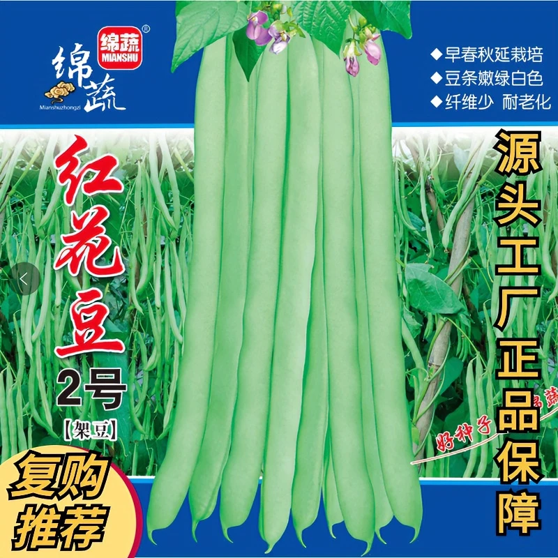 绵蔬【红花豆2号】四季豆，大面种植简单春季蔬菜种子品质秋播适应