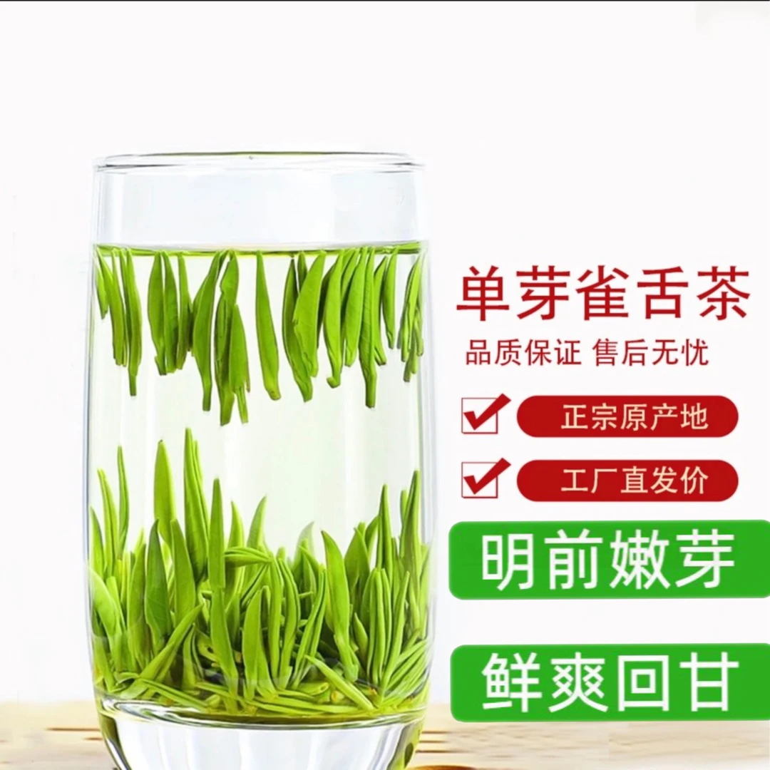 雀舌特级25年品尝新茶雀舌新茶雀舌茶嫩芽明前茶早春鲜爽翠绿鲜嫩
