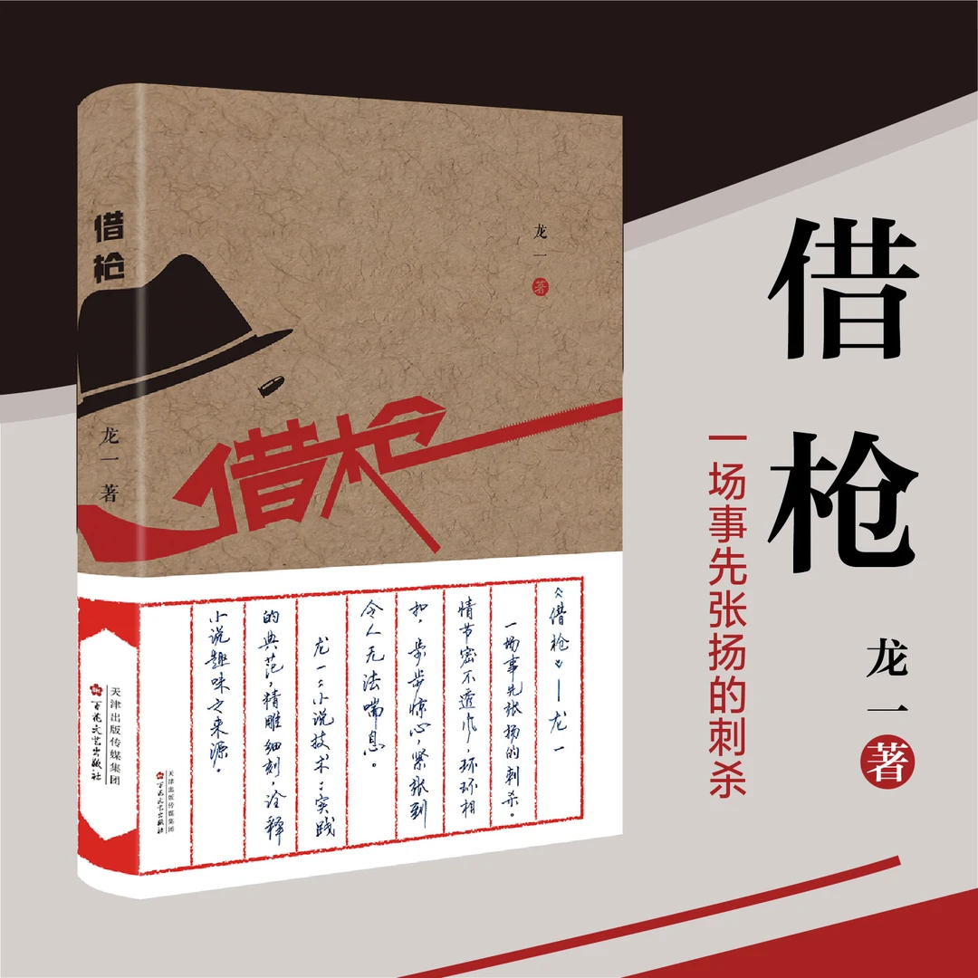 借枪 龙一著张嘉译张子健主演 军事文学小说军事谍战故事长篇小说