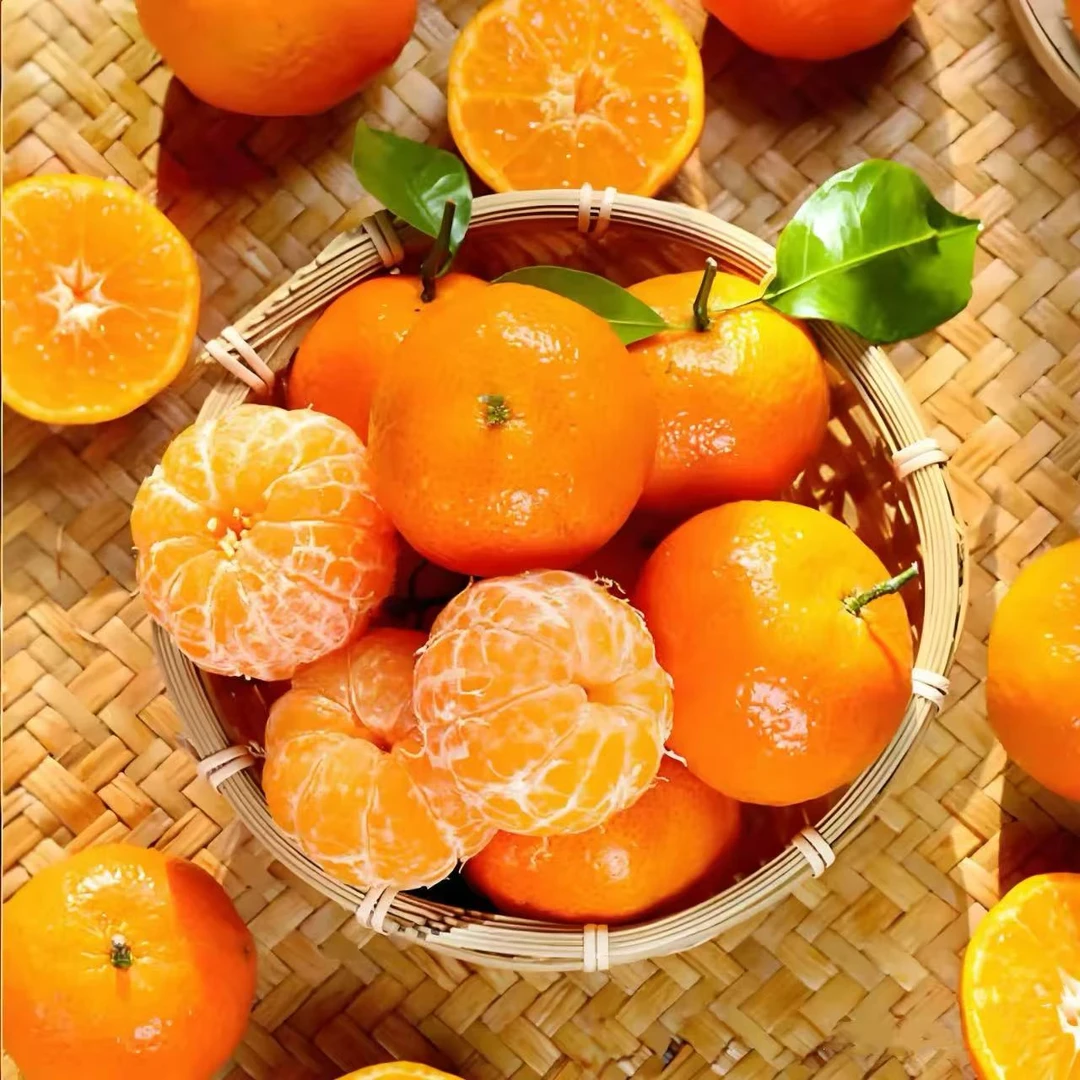 蜜橘三斤