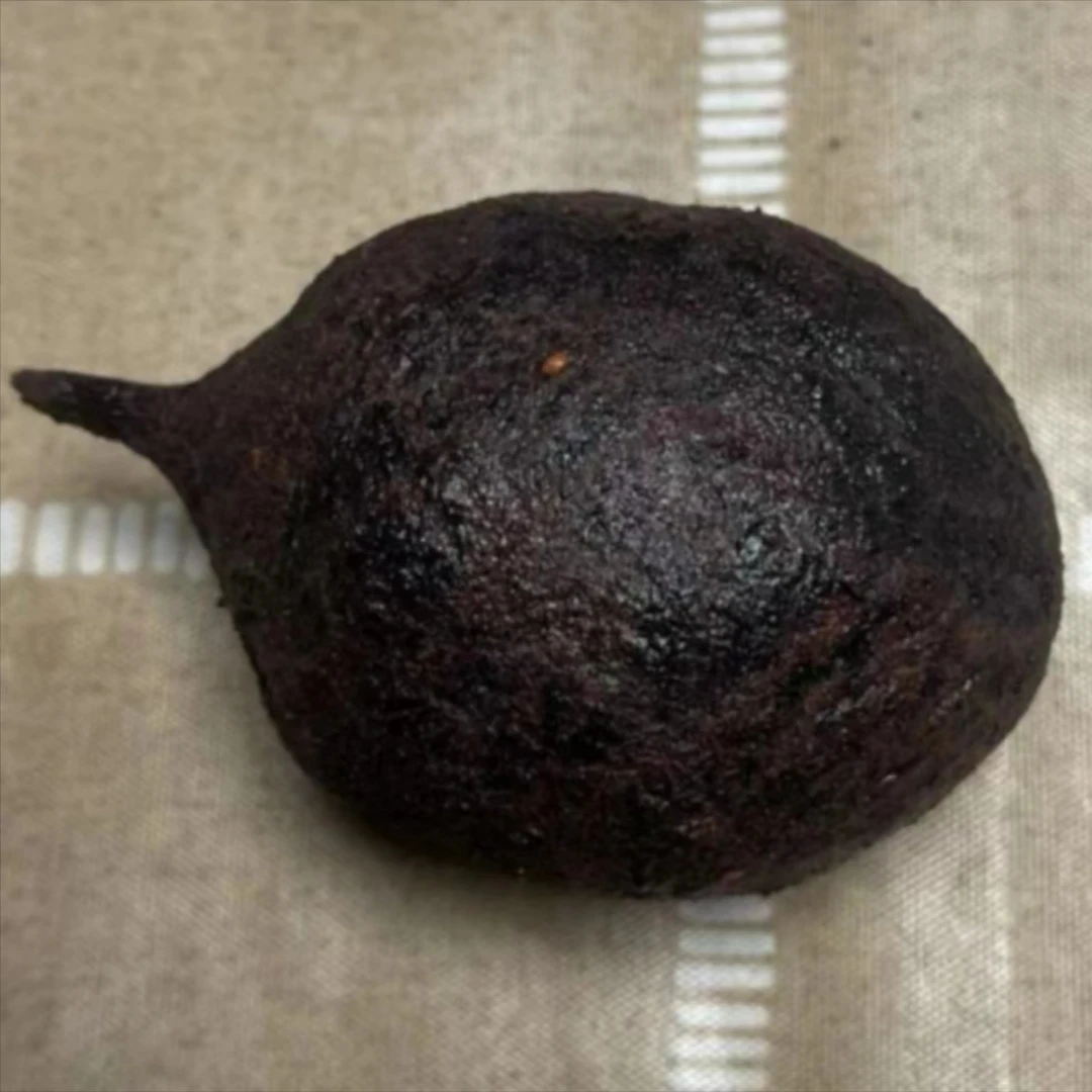 现切果-风华菩提果老果做脖挂-挂件挂坠【送绳子穿好绳子做成品】
