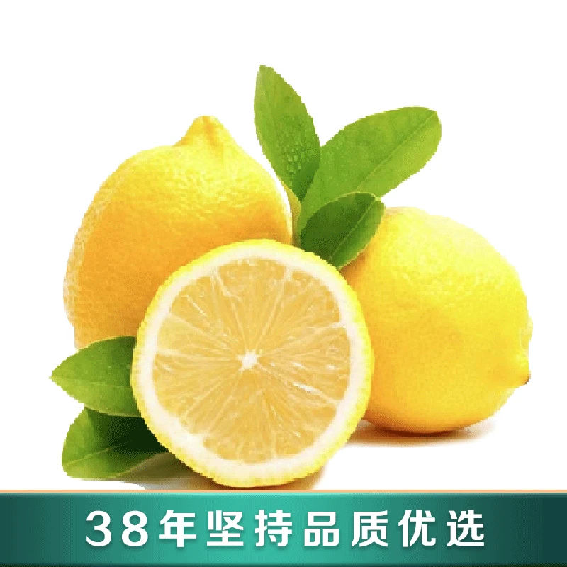 新鲜柠檬6颗 包邮