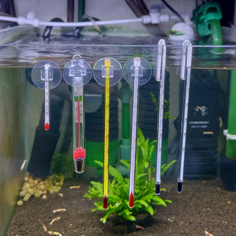 鱼缸温度计水族专用电子数显测温计水族箱高精度贴片式测水温计