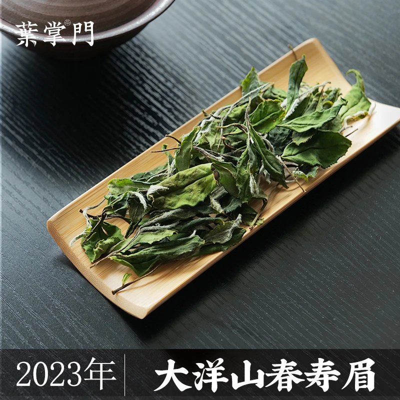 【 2023大洋山春寿眉400g】叶掌门福鼎白茶寿眉 高山茶叶
