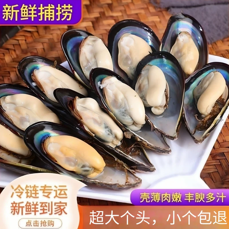 新鲜大号青口贝5斤-10斤装活鲜干净发货-保水产冰鲜到货个大肥美