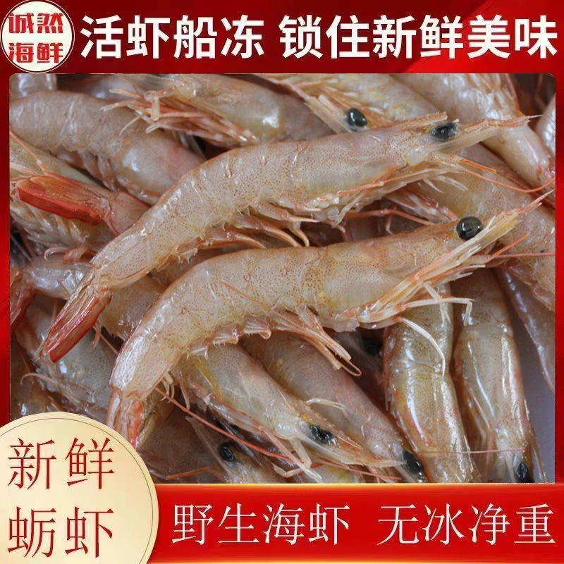 水产海鲜野生青岛蛎虾顺丰冷链海捕鲜活大虾小虾鳐鱼翅