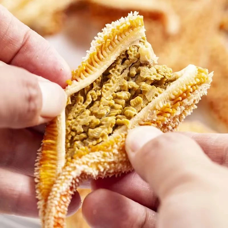 海星派大星新鲜熟冻速冻海星满籽加热即食野生海五星顺丰冷链